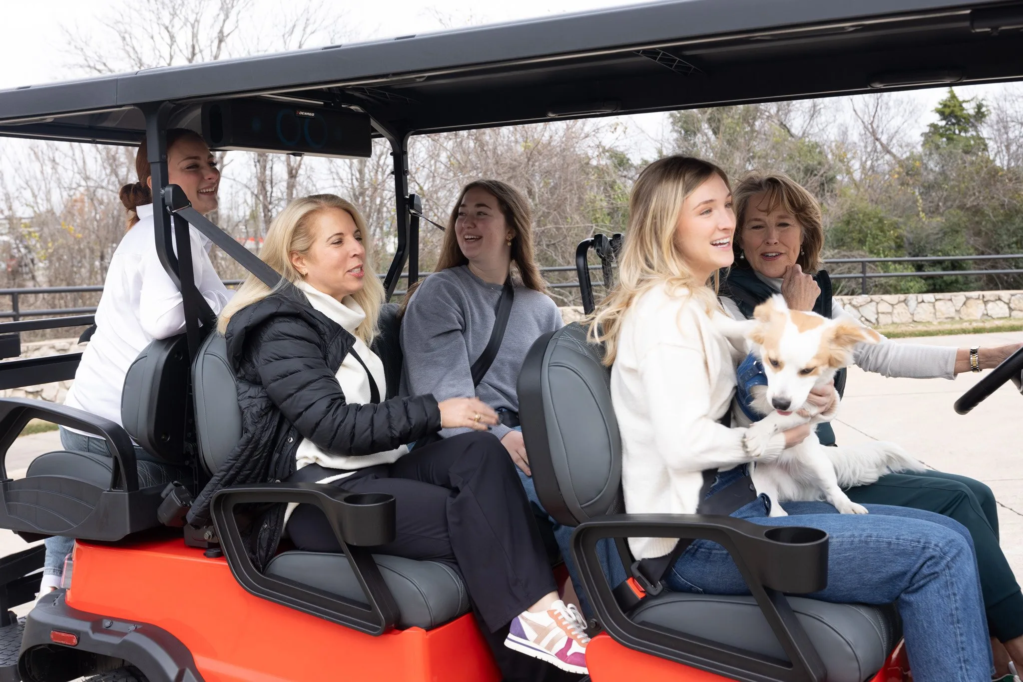 Carro de golf eléctrico Denago Rover XL 6 con pasajeros