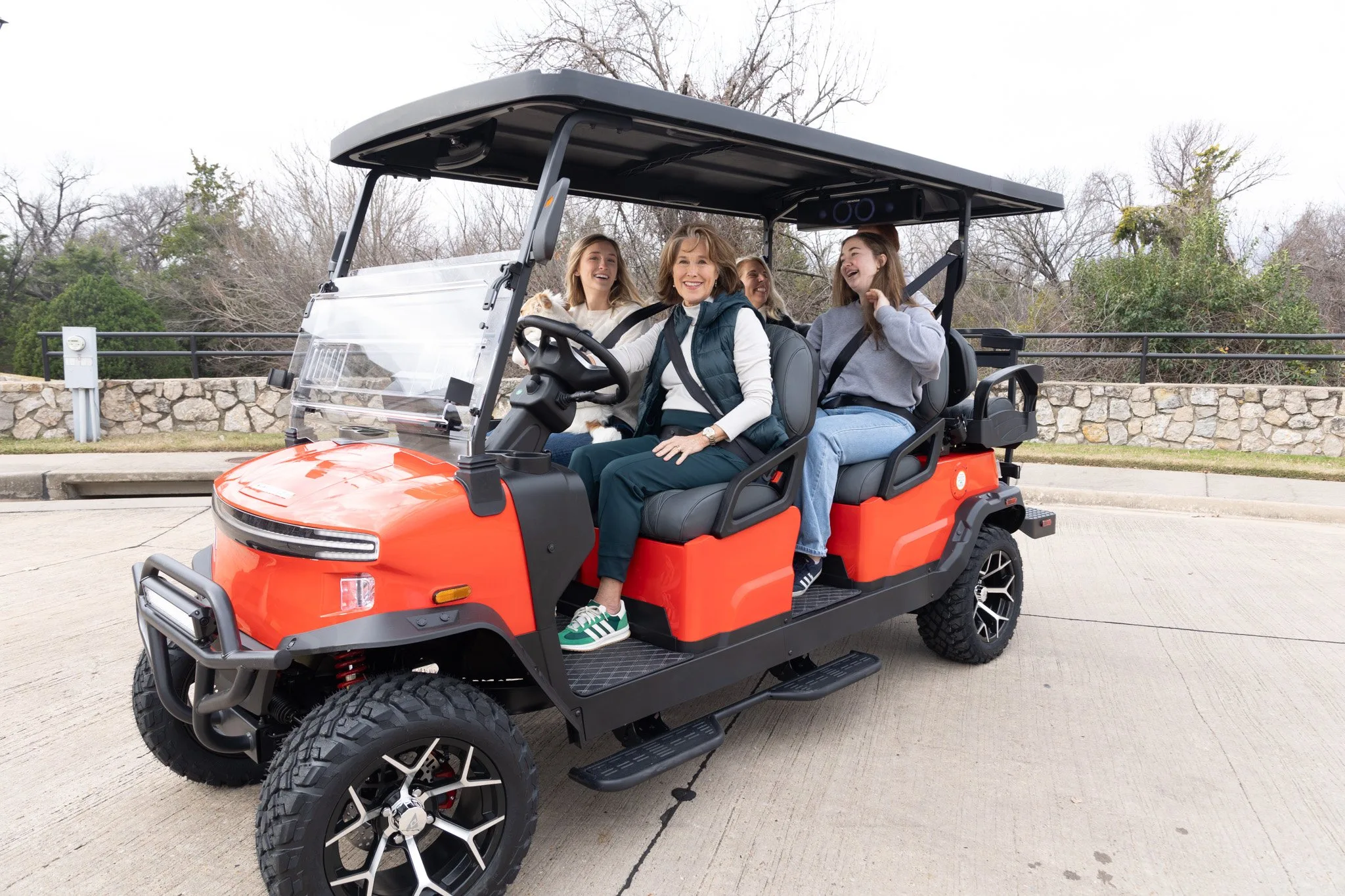 Carro de golf eléctrico Denago Rover XL 6 de 6 plazas