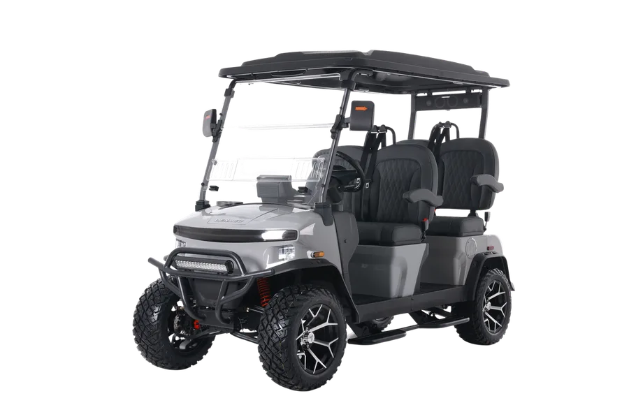 Denago EV Rover XL Gris